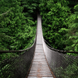 程序图标：Jungle HD Wallpaper Backg…