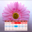 Ícone do programa: My Menstrual Diary
