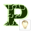 プログラムのアイコン：PassPhoto