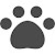 Icon of program: CatGPT