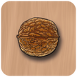 Programın simgesi: ChessNuts