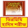 프로그램 아이콘: তিরমিযি হাদিস শরীফ ~ Tirm…