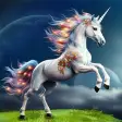 Unicorn Dash : Horse Run