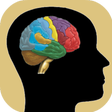 程序图标：Test de inteligenta in ro…