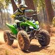 Ikon program: Four Wheeler MX ATV Quad …