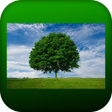 Icon of program: Khalfiat Ashgar خلفيات اش…