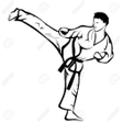 Icona del programma: Taekwondo technique