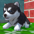 程序图标：Cute Pocket Puppy 3D