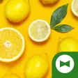 Lemon Yellow Theme