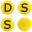 程序图标：DSS Calculator