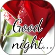 Good Night Images and sweet Love Messages