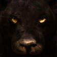 أيقونة البرنامج: Ultimate Panther Simulato…