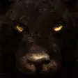 Ultimate Panther Simulator