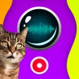 Icon of program: Cat Speaker