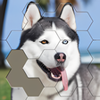 أيقونة البرنامج: Jigsaw Hexa Block