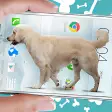 Dog on screen: Woof woof joke simulation