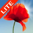 Poppy Field Lite icon