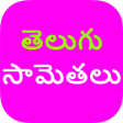 程序图标：Telugu Samethalu