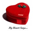程序图标：My Heart Says...