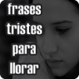 程序图标：sad phrases to cry