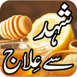 プログラムのアイコン：Shehed Se Ilaj