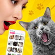 Иконка программы: MeowTalk-Cat Translator P…