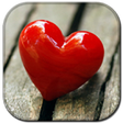 أيقونة البرنامج: Love Live Wallpaper