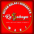 程序图标：Rusabaya