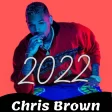 Chris Brown Songs All albums