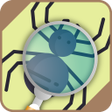 程序图标：Automatic spider identifi…