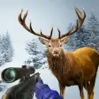 Deer Hunting 2019 - Animal Hun