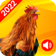 程序图标：Animal Ringtones - Birds …