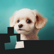 プログラムのアイコン：Jigsaw Slider