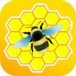 程序图标：Honeygain: Earn Money Gui…
