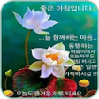 プログラムのアイコン：좋은 아침 좋은 오후 좋은 밤 이미지