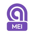 Ikon program: Agilize MEI