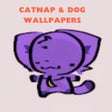 Dog  Catnap Beauty Wallpapers