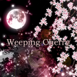 プログラムのアイコン：Wallpaper Weeping Cherry …