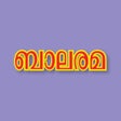 Symbol des Programms: Balarama