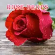 Rose Drops Theme