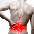 プログラムのアイコン：Lower Back Pain and Sciat…