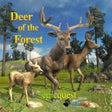 أيقونة البرنامج: Deer of the Forest
