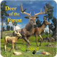 أيقونة البرنامج: Deer of the Forest