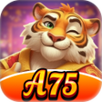 Иконка программы: A75Touch