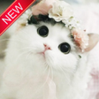 Иконка программы: Kucing Lucu Wallpaper