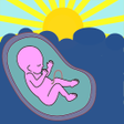 程序图标：Pregnancy Assistant. Preg…