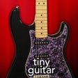 Ikon program: Tiny Guitar