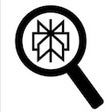 ClueHunter - Perplexity icon