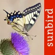 Butterfly Id - UK Field Guide