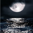 Icon of program: Night Live Wallpaper